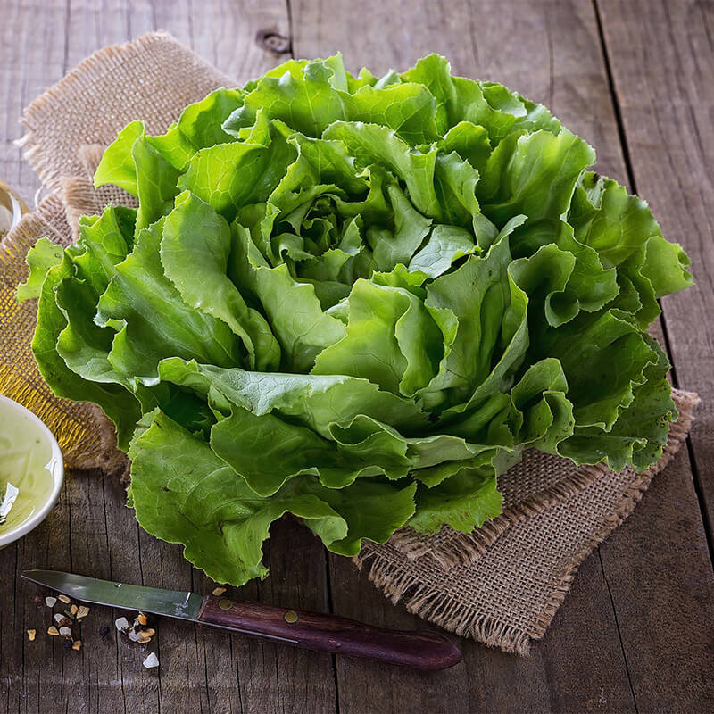 بسته ی 1 کیلویی کلم